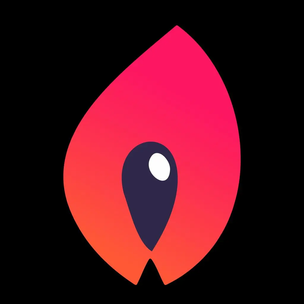 TorchWallet.io logo